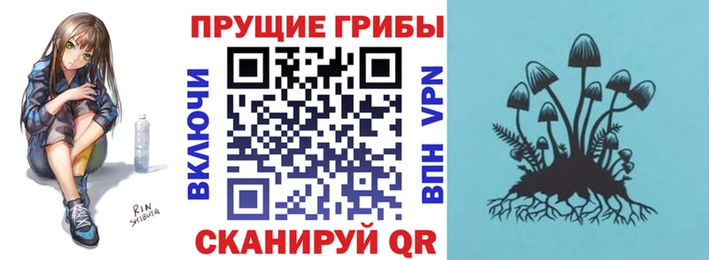 Псилоцибиновые грибы MAGIC MUSHROOMS  Купить где  Кашира 